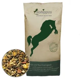 FutureGold2-0_sack-1