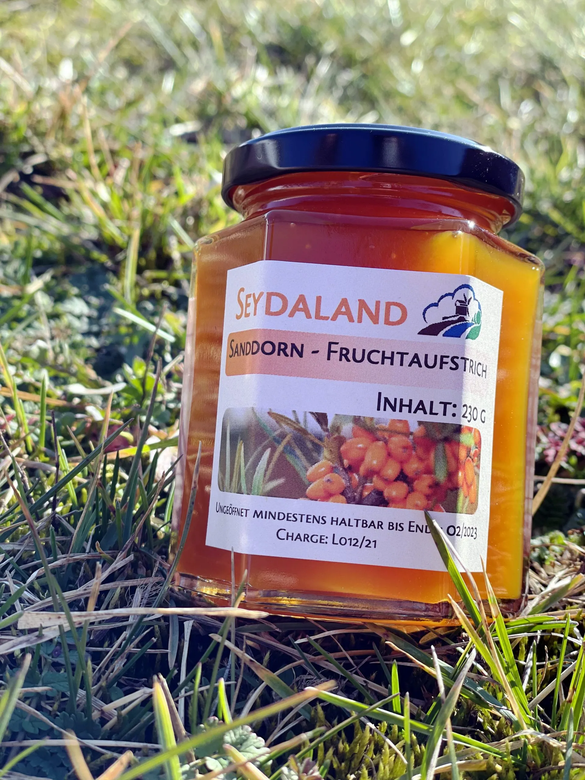 Sanddorn-FruchtaufstrichZ9LtUpGuEaRQw-1