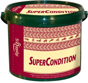 SuperCondition-Eimer-1