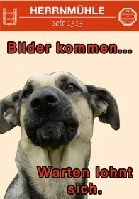 dummieHundefutter_3027_0-1