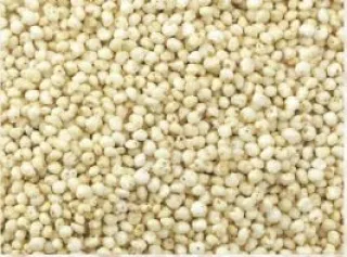 millet-hirse-gepufft_3655_0-1