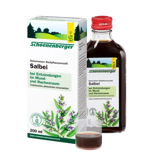 salbei_48965a5e-3e8e-4897-96da-26c1f804a73c-1