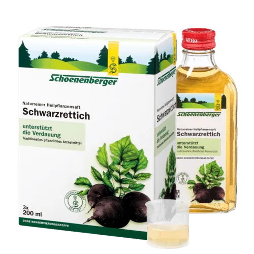 schwarzrettich_600-1