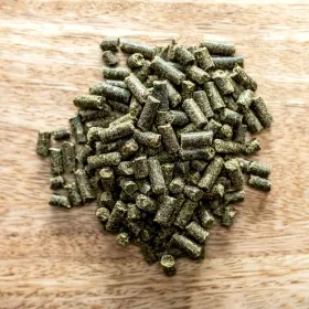 st-hippolyt-movicur-detail-1