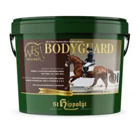 st-hippolyt-wes-bodyguard_4270_0-1