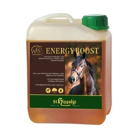 st-hippolyt-wes-energy-boost-1