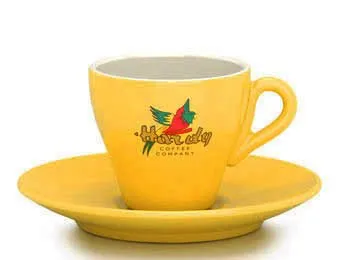 temphardy-espresso-tasse-gelb-g_2fNyyDaDibOv46-1